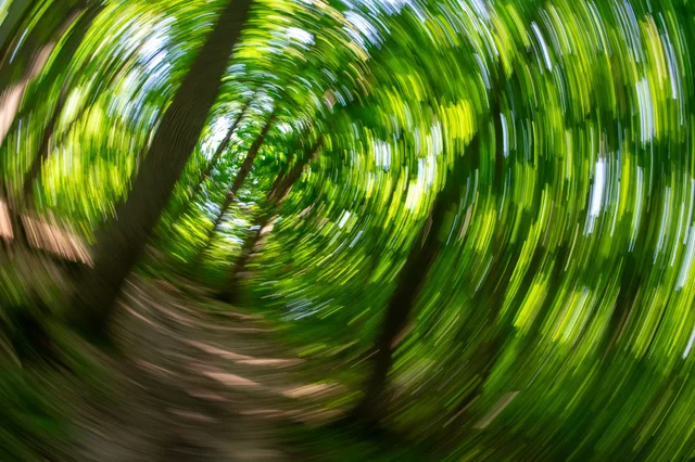 Green leaves and tree trunks forming a circular motion blur.