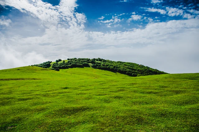 Rolling green hills beneath a blue sky filled with white clouds.
