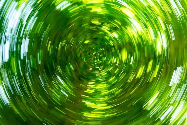 Green leaves and bright patches of sky blurred into concentric circles.